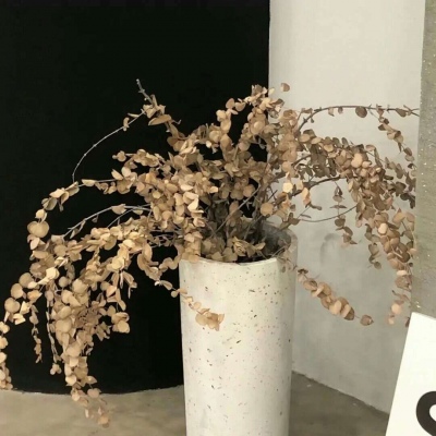 兽设原创改稿实用思路FurryQQ群